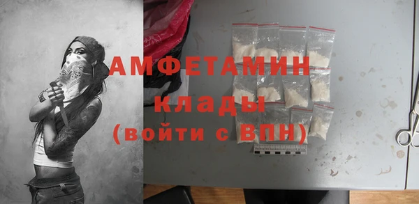 прущие грибы Чита