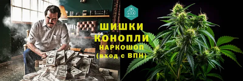 где продают   Дудинка  Канабис Amnesia 